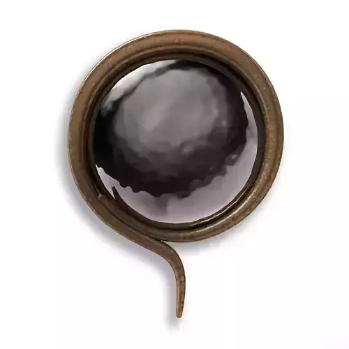 Michel Salerno MS 40 Uniqe Mirror