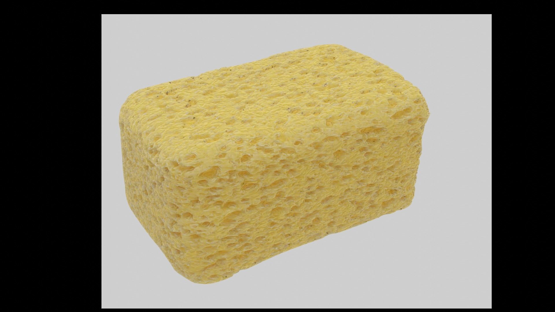 Sponge 3D model_1