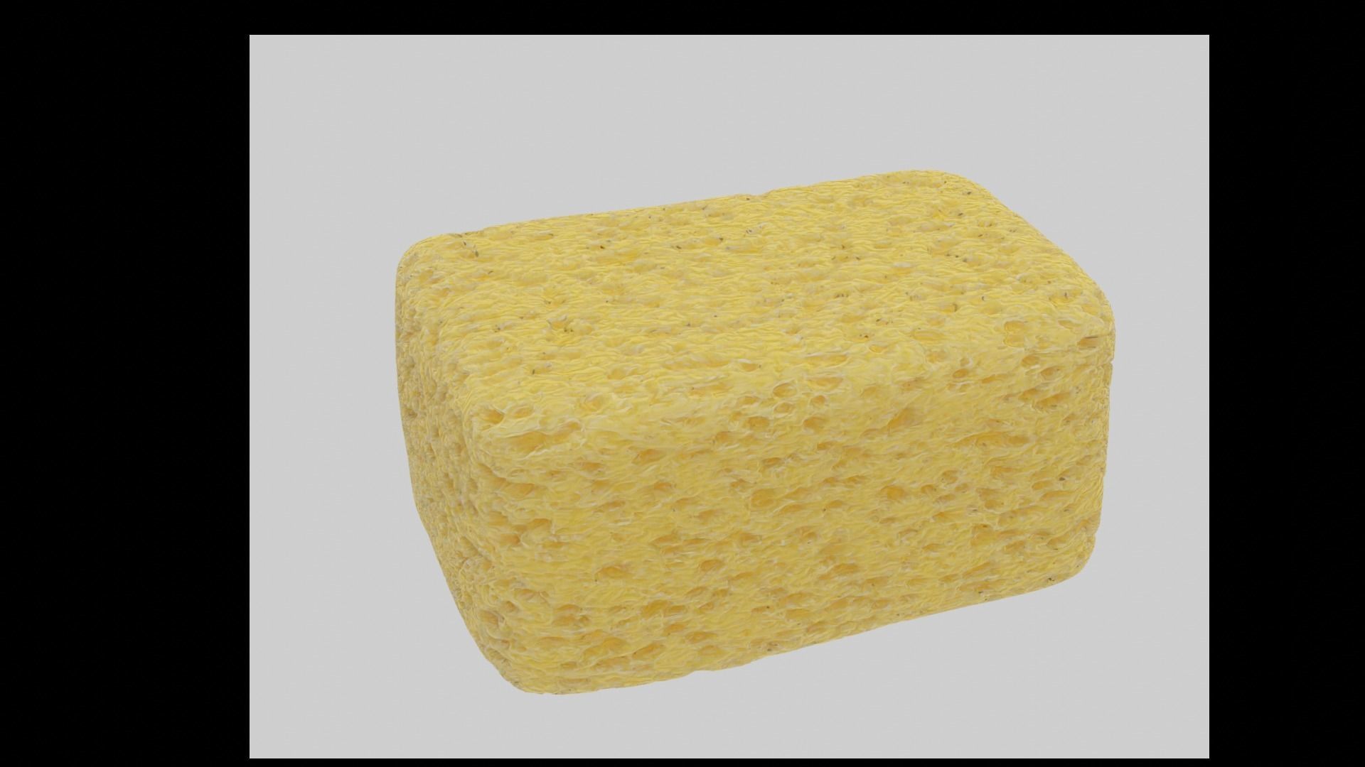 Sponge 3D model_3