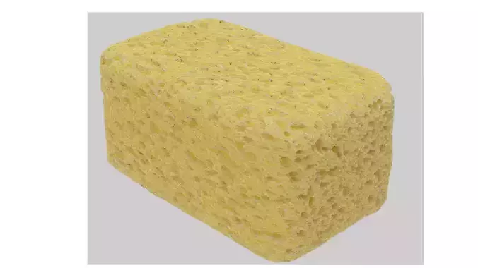 Sponge