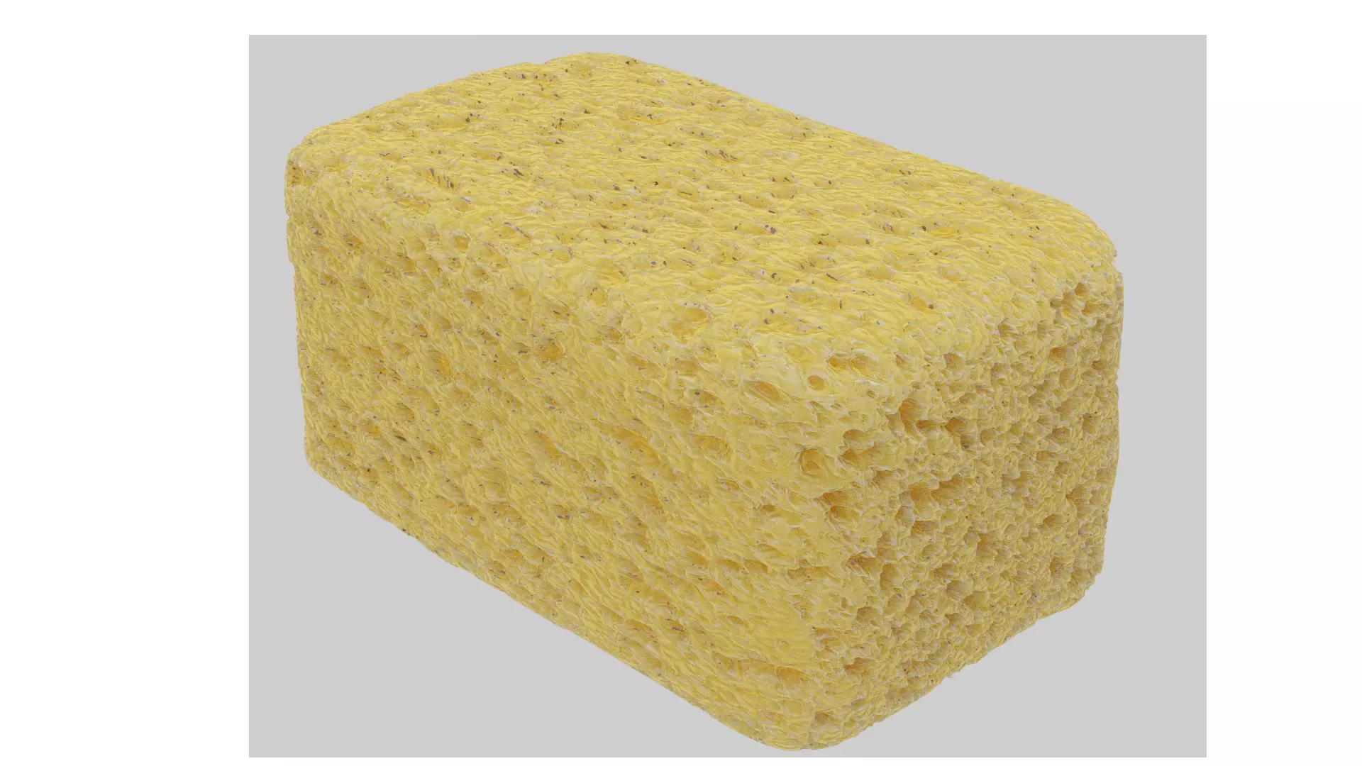 Sponge 3D model_0