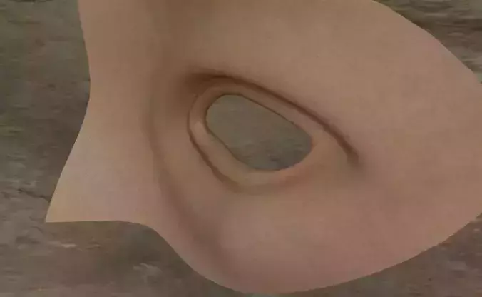 Human Eye Hole With Detail Skin Texture