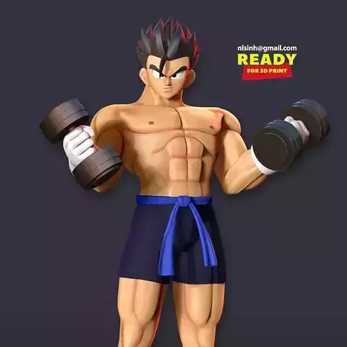 Gohan with gym