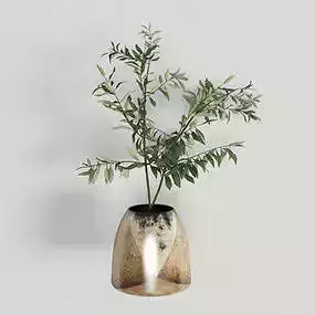 flower plant in vase on wall