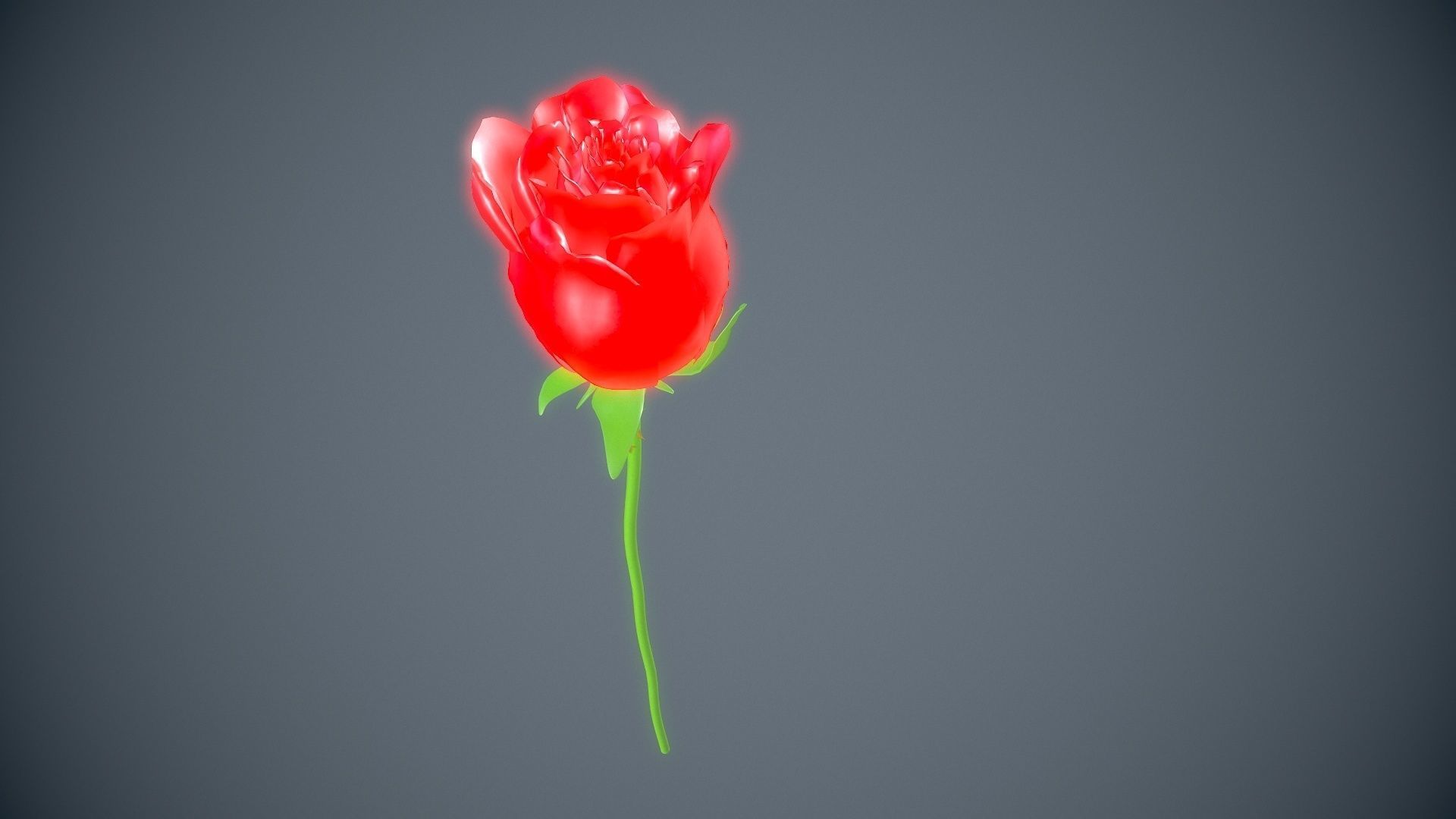 Red rose 3D model_2