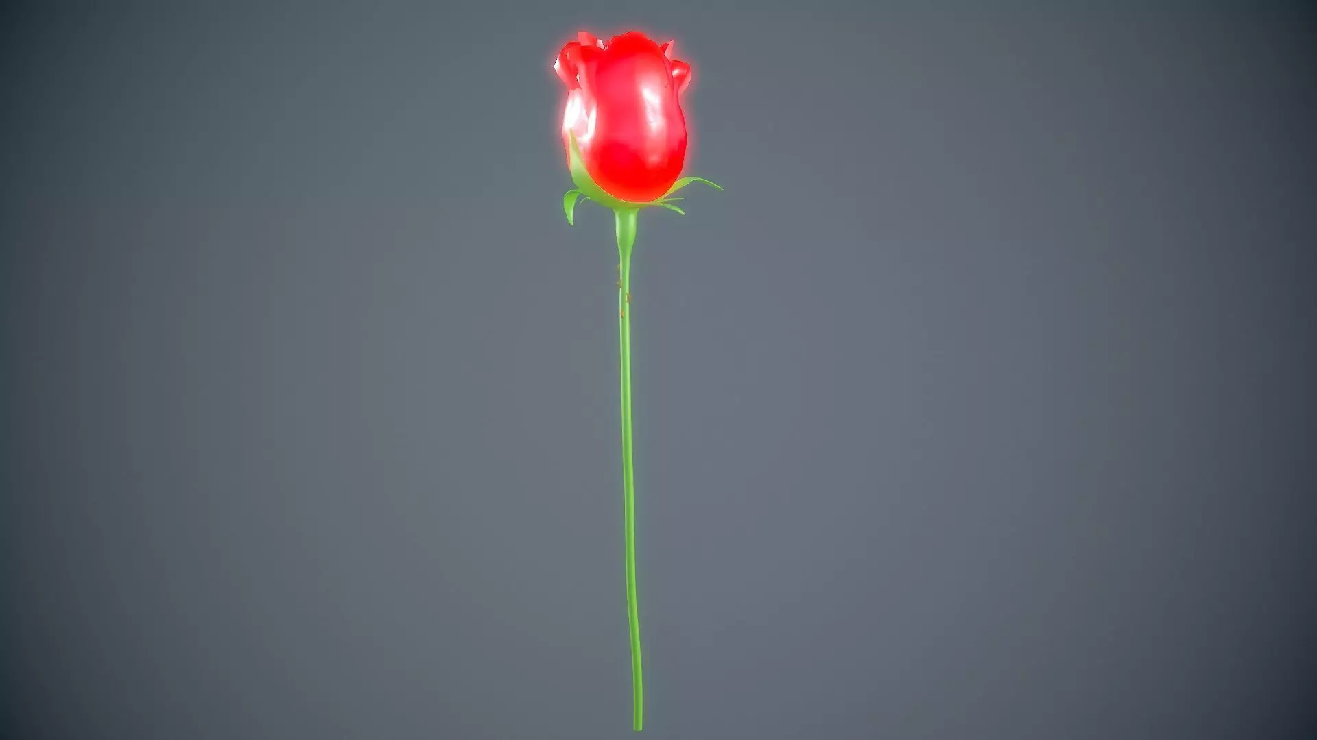 Red rose 3D model_0