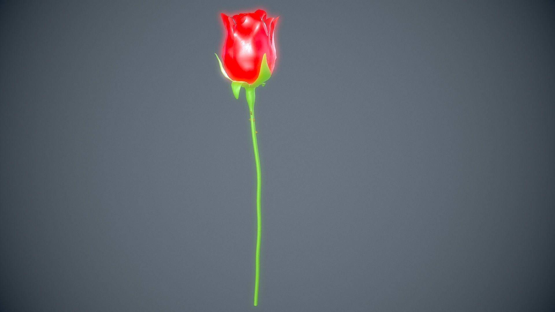 Red rose 3D model_7