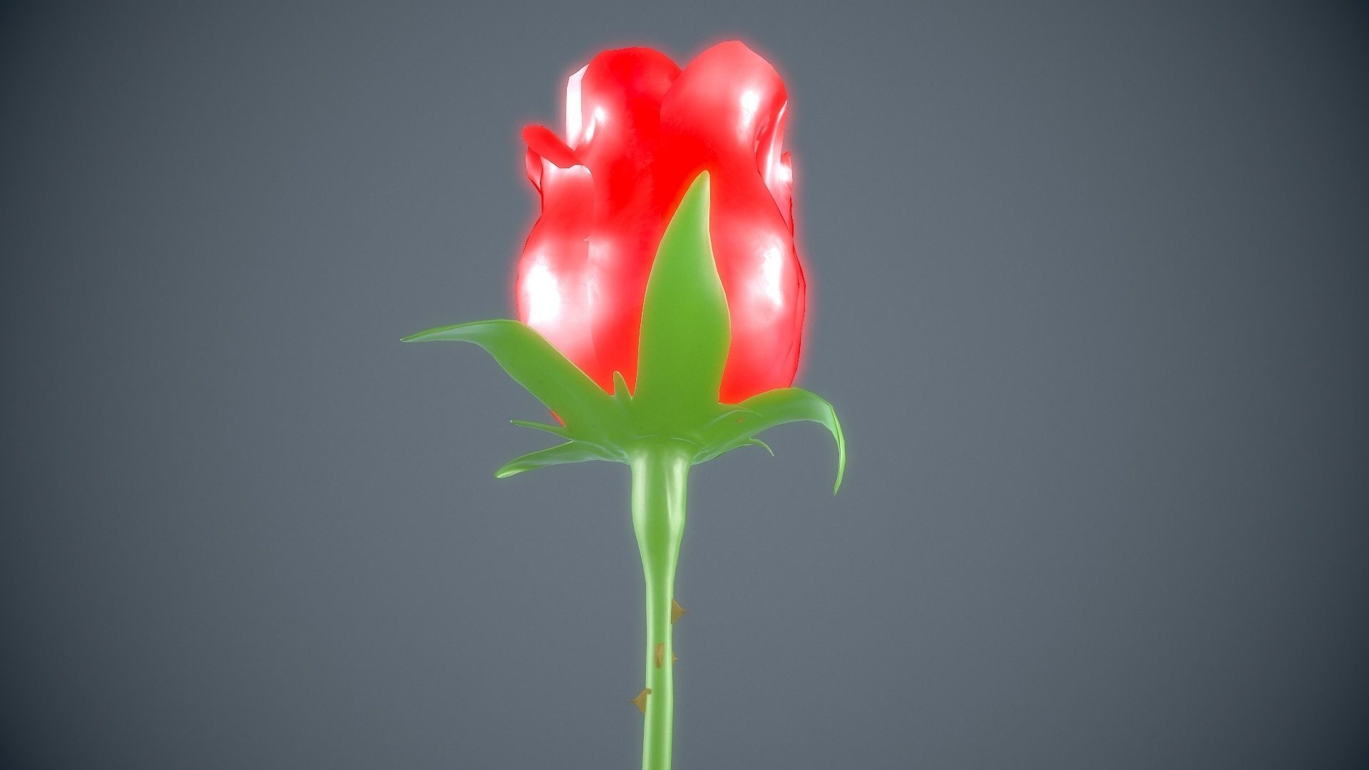 Red rose 3D model_4