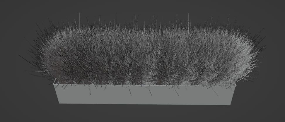 Grass in wooden box 3D model_1