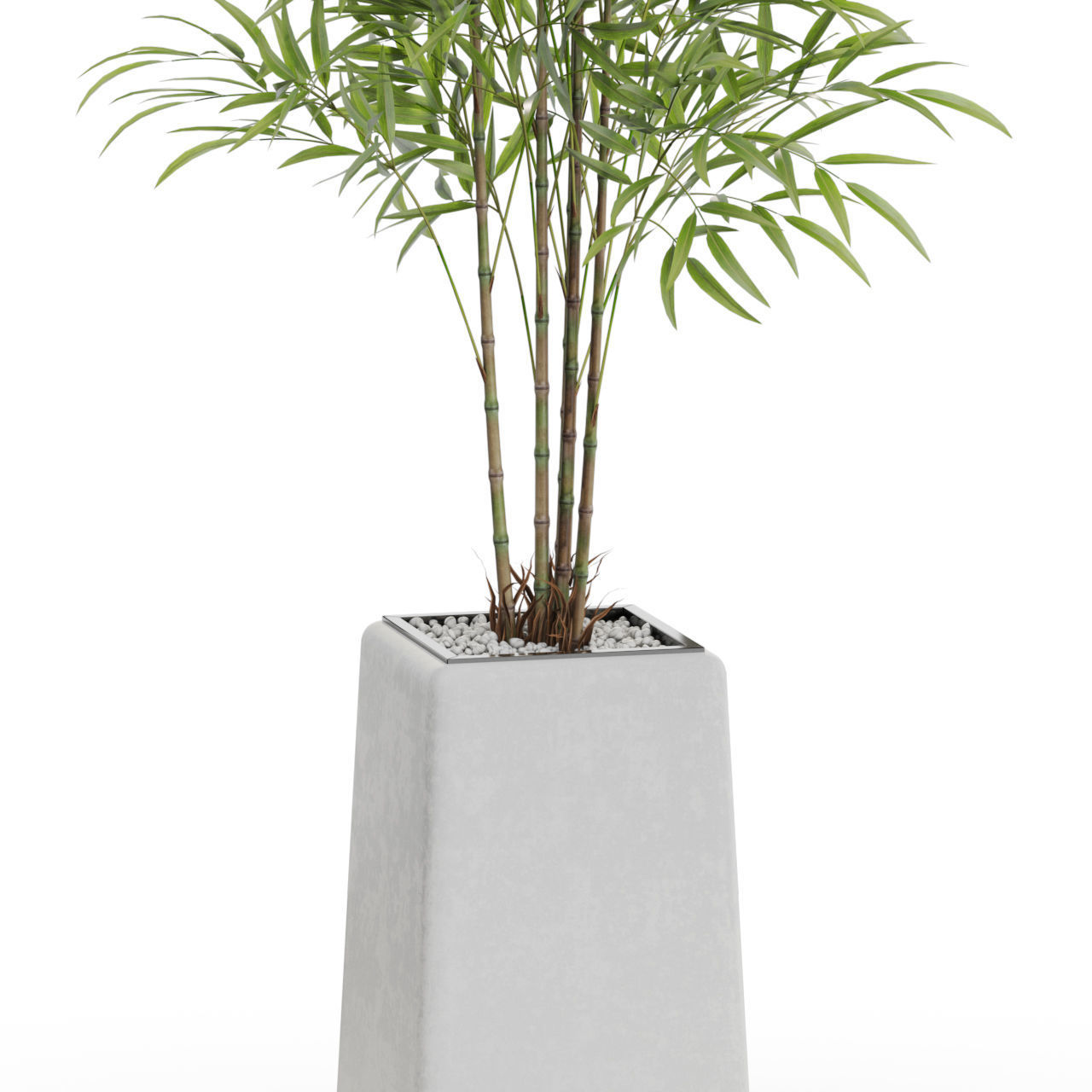 Plants collection 614 3D model_1