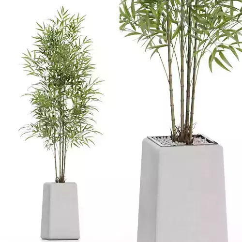 Plants collection 614 3D model