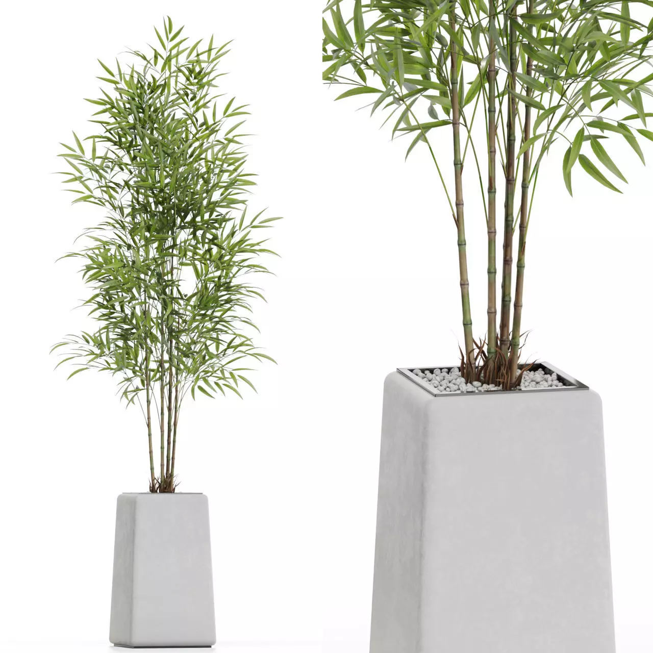 Plants collection 614 3D model_0