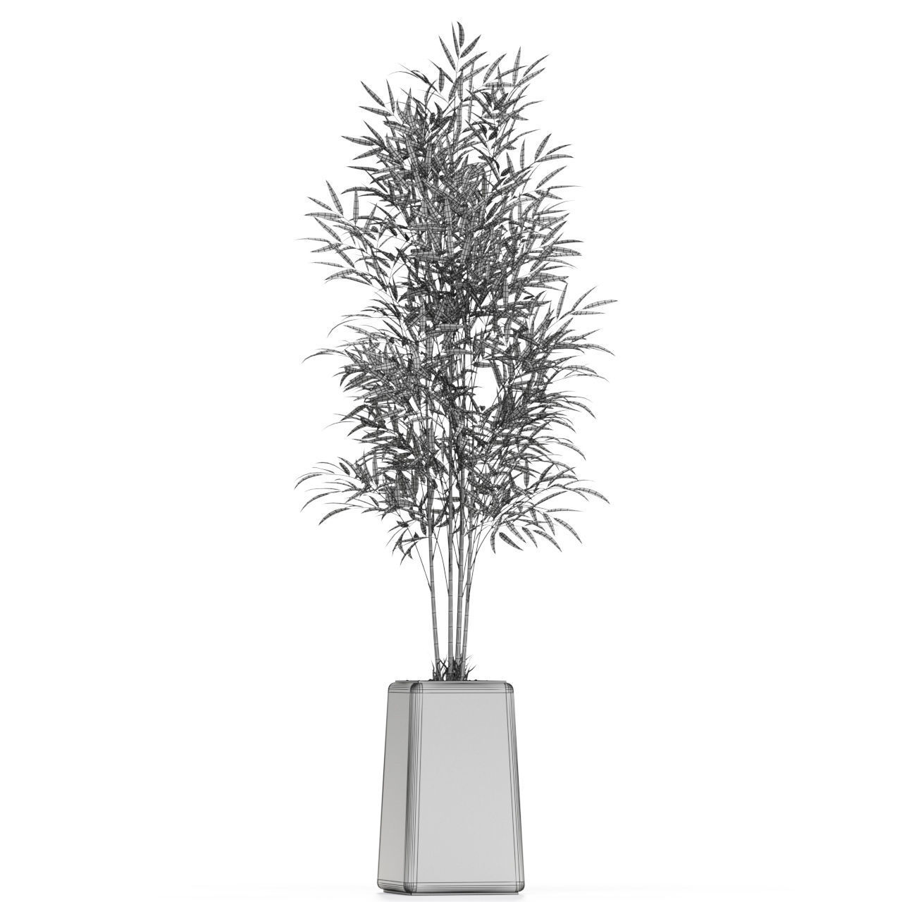 Plants collection 614 3D model_3