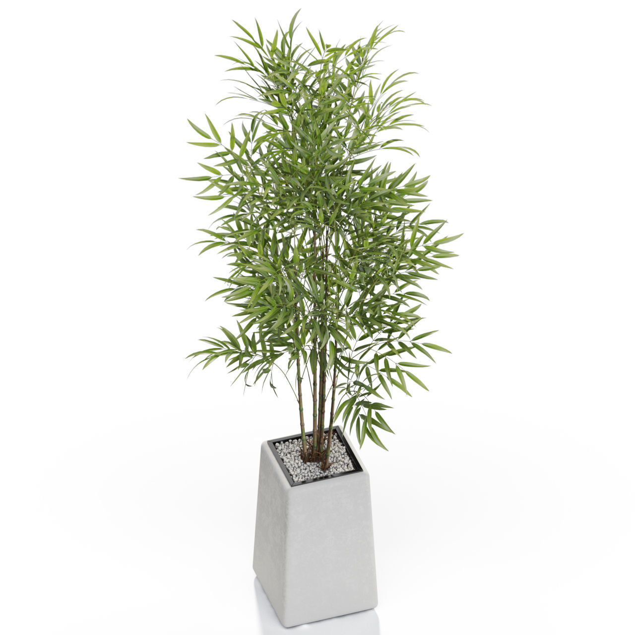 Plants collection 614 3D model_2