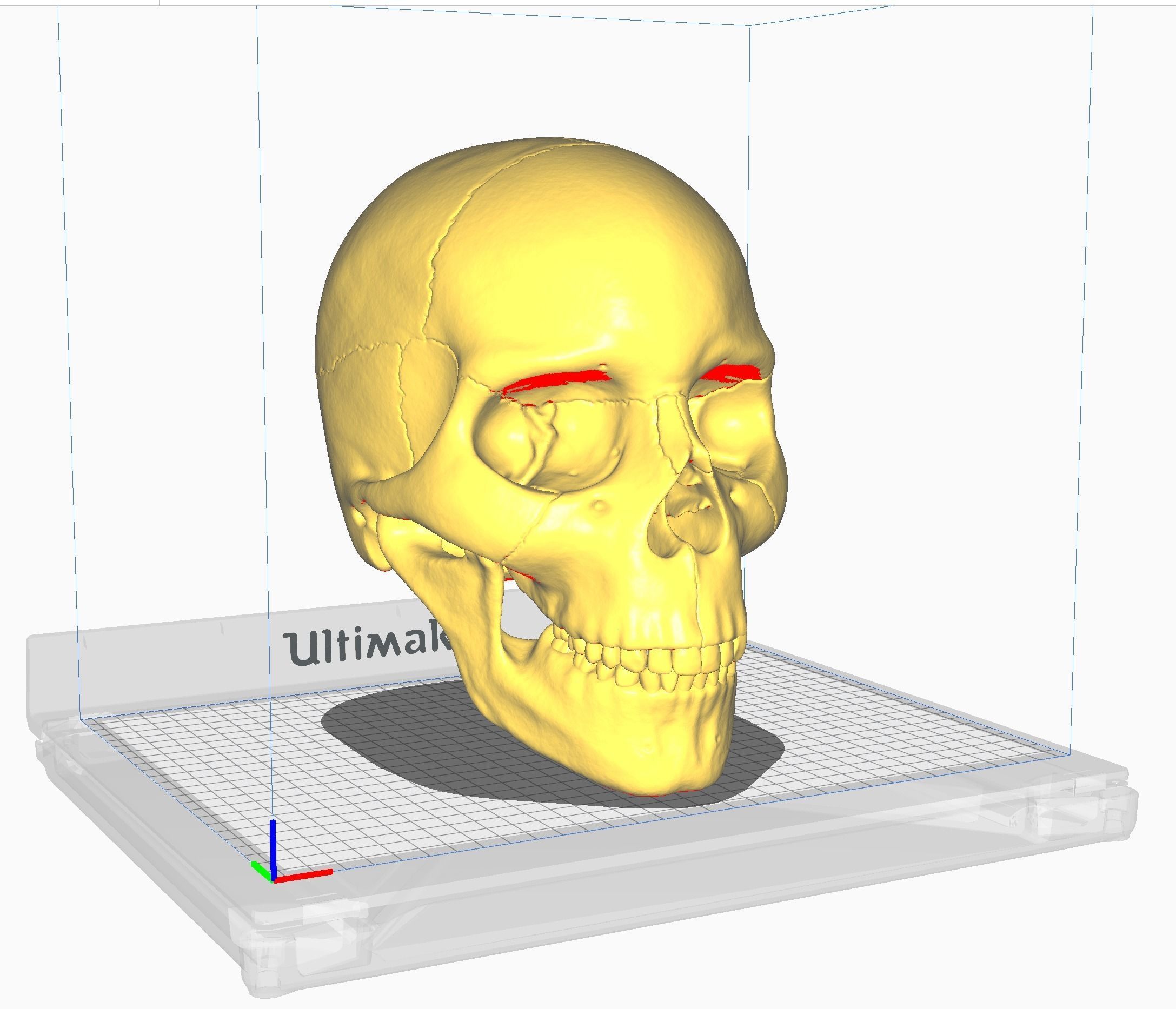 Skull Study Pack 3D print model_15