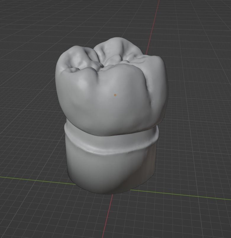 Lower molar anatomy 46 tooth 3D model | CGTrader