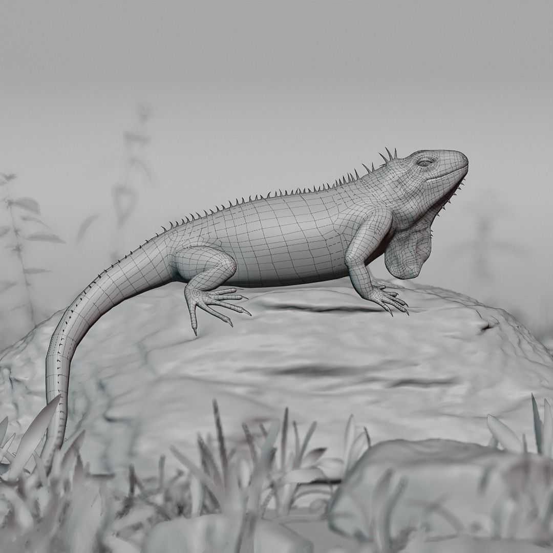 Realistic Iguana Game ready 3D model on rock in forest Low-poly 3D model_3