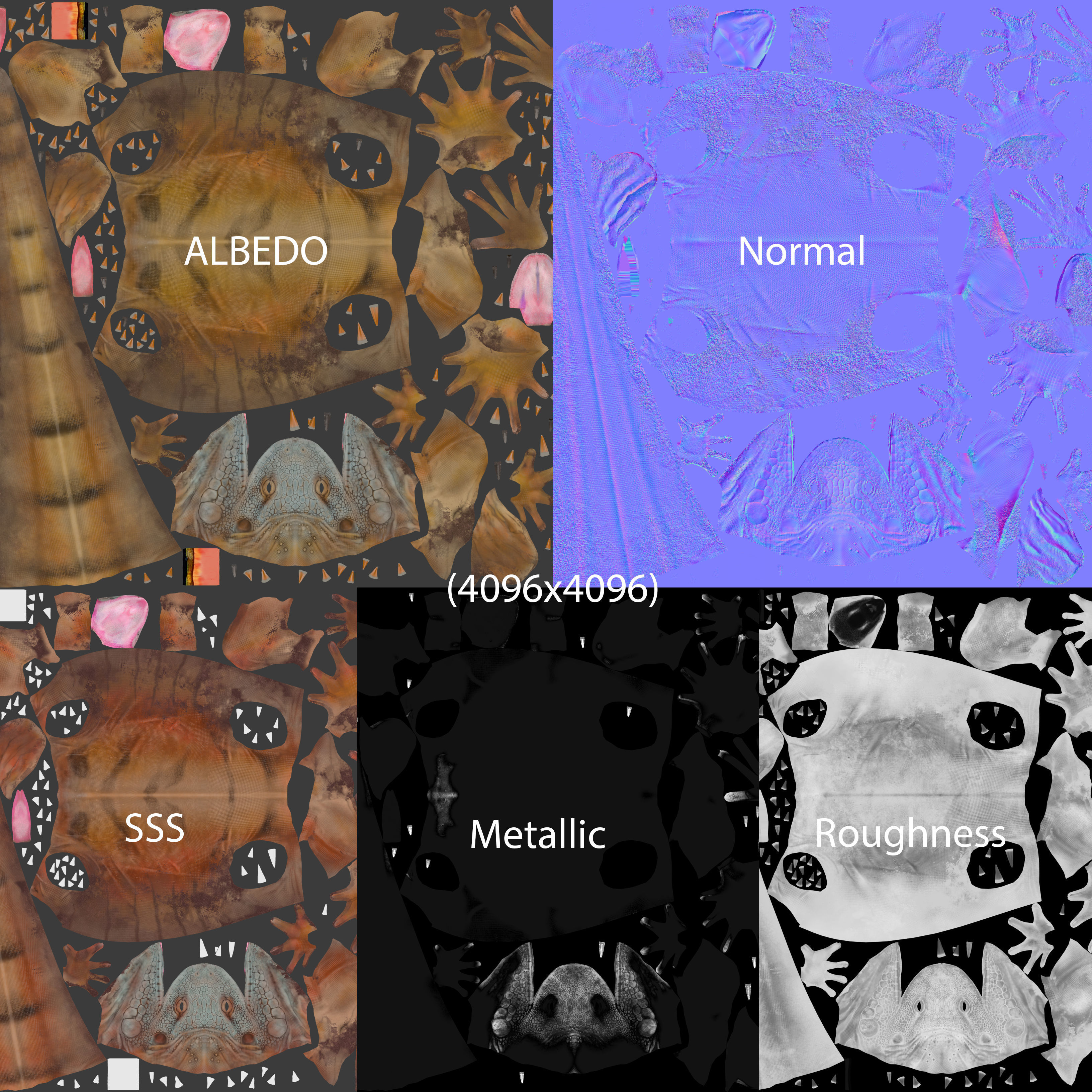 Realistic Iguana Game ready 3D model on rock in forest Low-poly 3D model_4