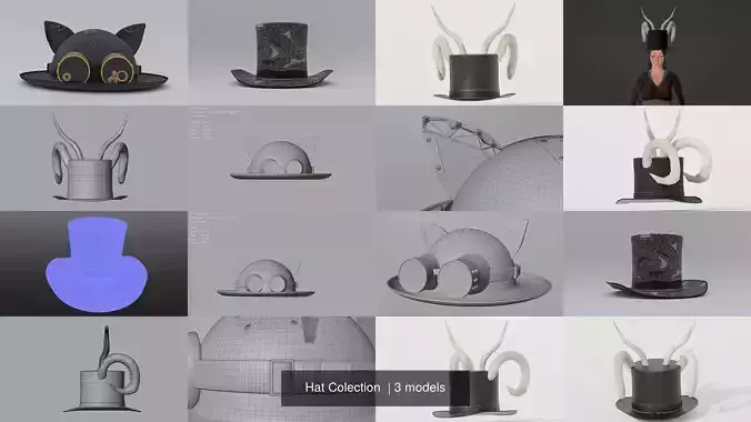 Hat Colection  3D Model Collection