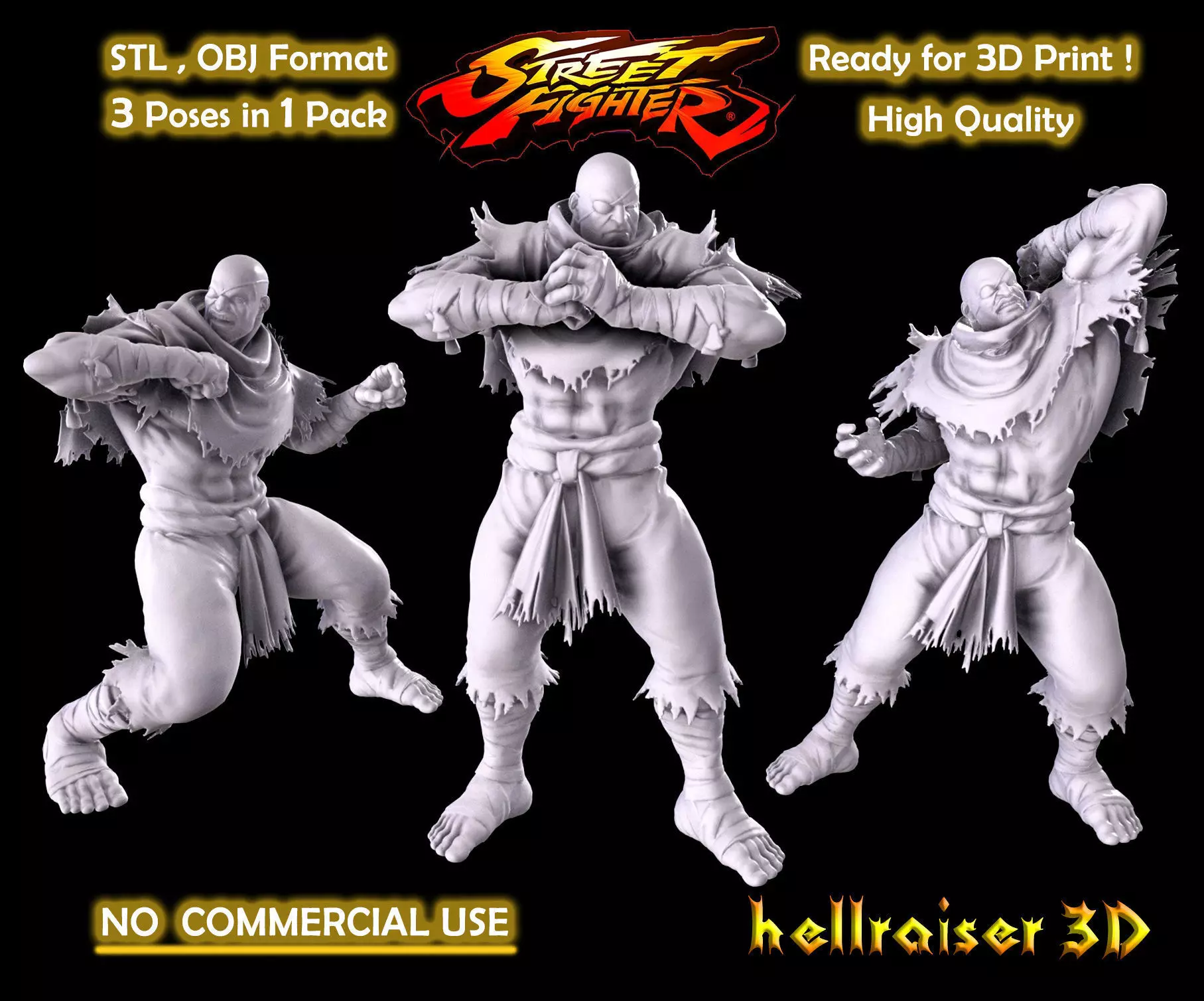 Street Fighter - Sagat 3D print model_0