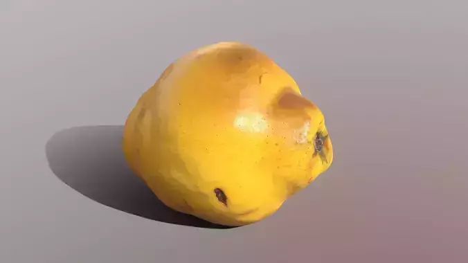 Quince fruit 3D model
