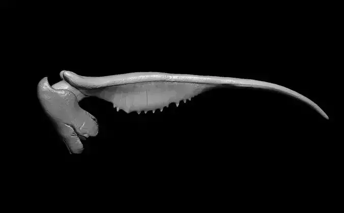 Starship troopers Arachnid bug claw prop replica model