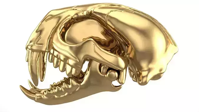 tiger skull