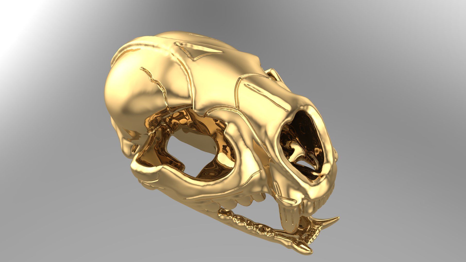 tiger skull 3D model_1