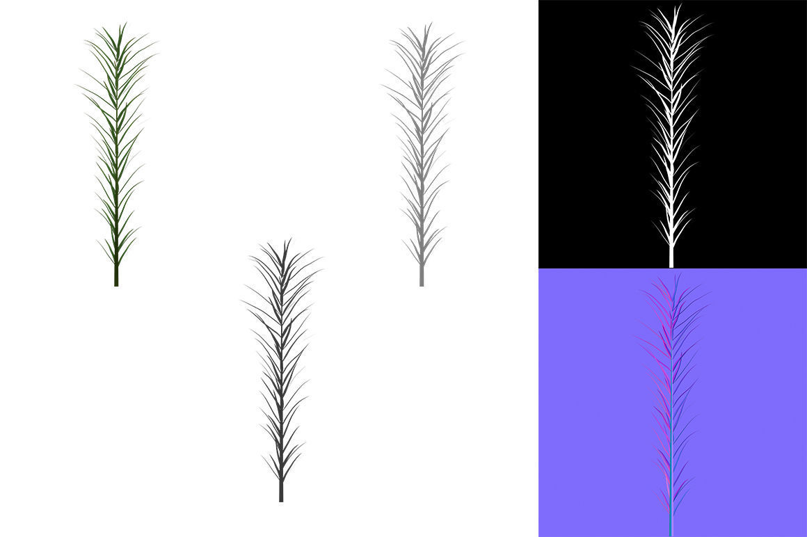 Polytrichum commune BRANCH Low-poly 3D model_9