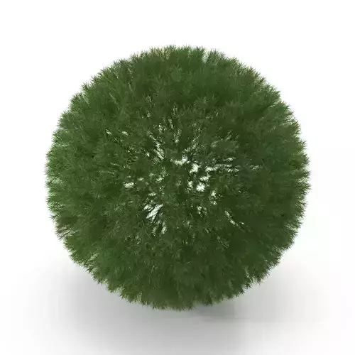 Polytrichum commune BRANCH Low-poly 3D model