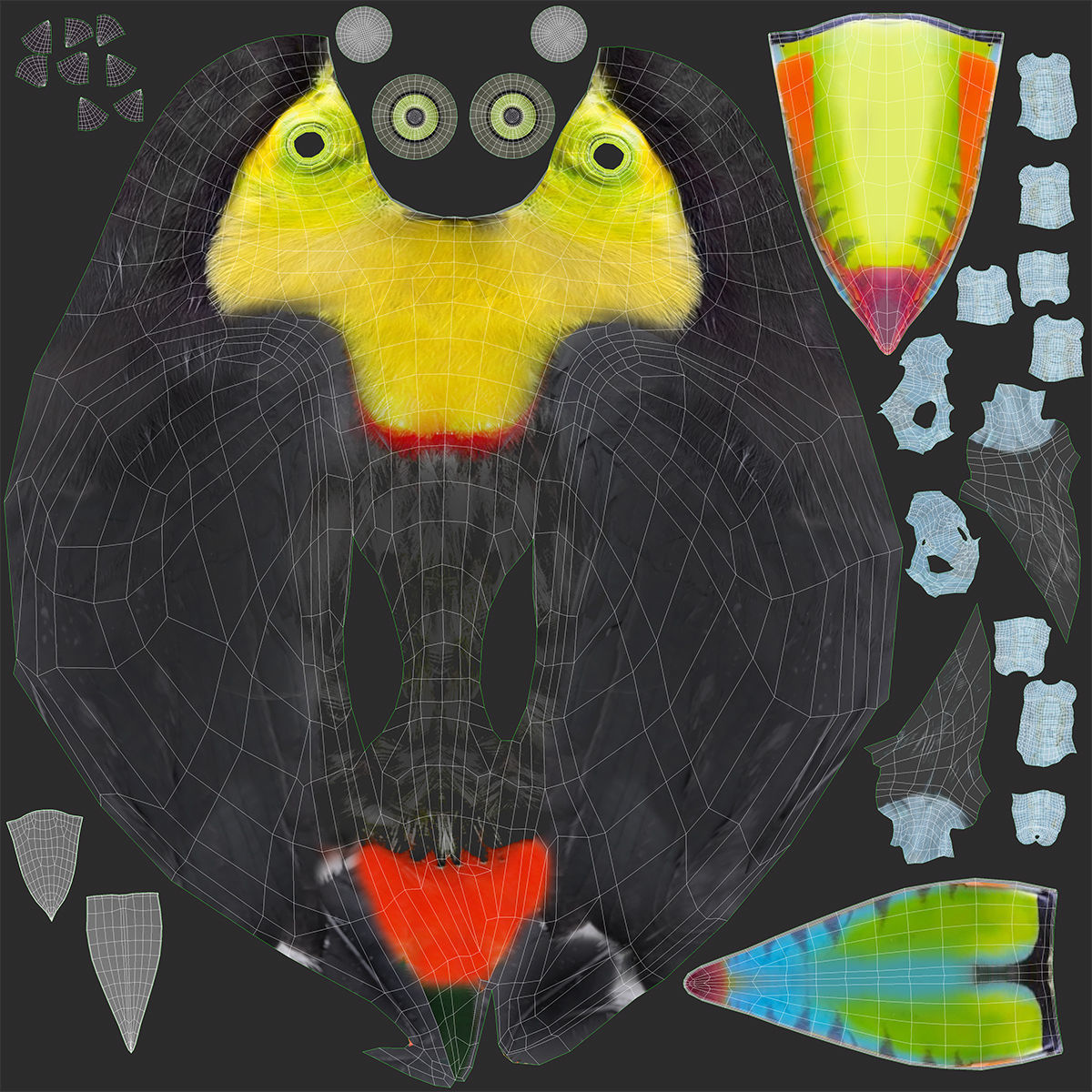 Toucan on branch 3D model_12