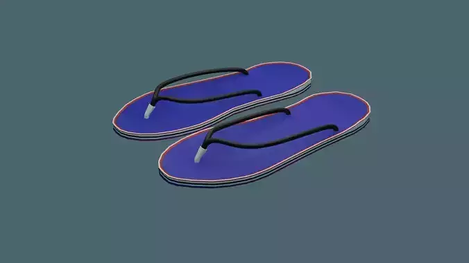 Footwear sandals