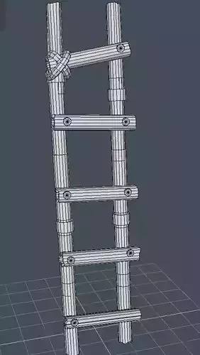 A bamboo ladder