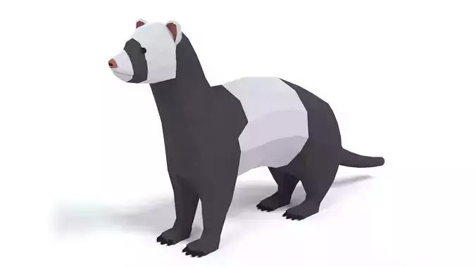 Low Poly Cartoon Ferret