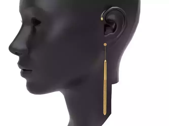 jewellery earrings