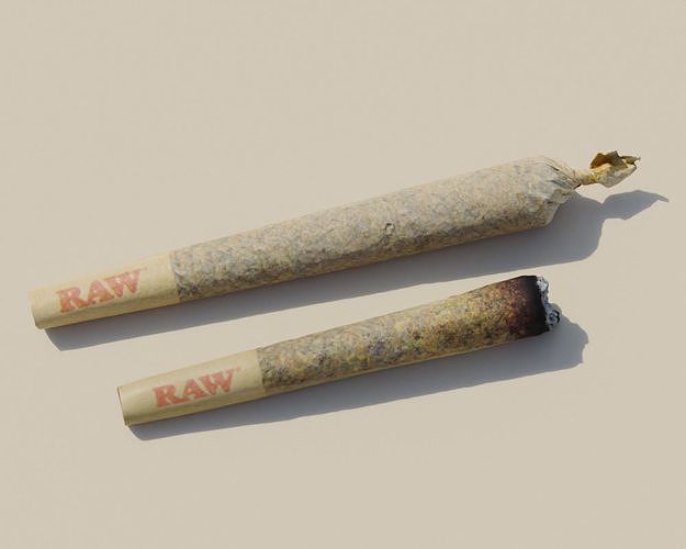Photoscanned Unburnt and Burnt Pre-Roll Cannabis Collection 