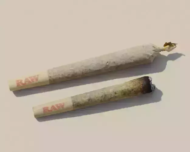 Photoscanned Unburnt and Burnt Pre-Roll Cannabis Collection 