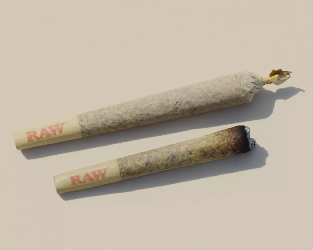 Photoscanned Unburnt and Burnt Pre-Roll Cannabis Collection _0
