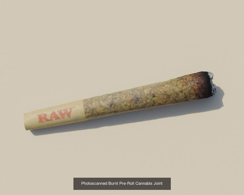 Photoscanned Unburnt and Burnt Pre-Roll Cannabis Collection _4