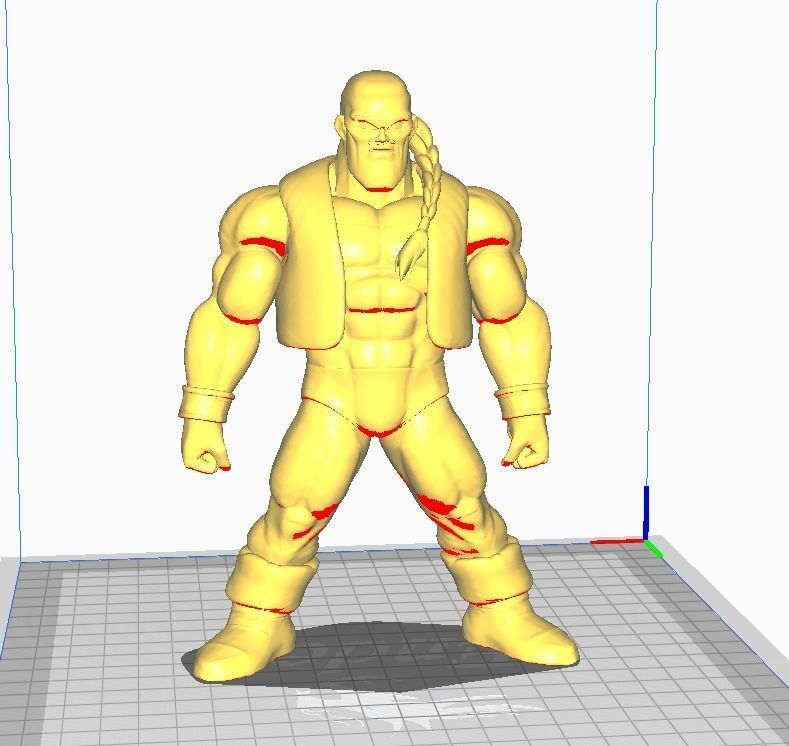 Wild Tiger 3D Model 3D print model_2