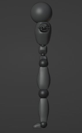 Skeletal Base Model Low-poly 3D model_8