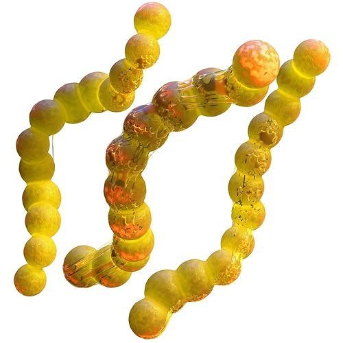 Streptococcus group of balls 3D model