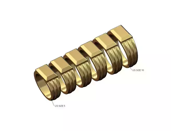 Chamfred top rounded shank rectangular signet US sizes 5to10