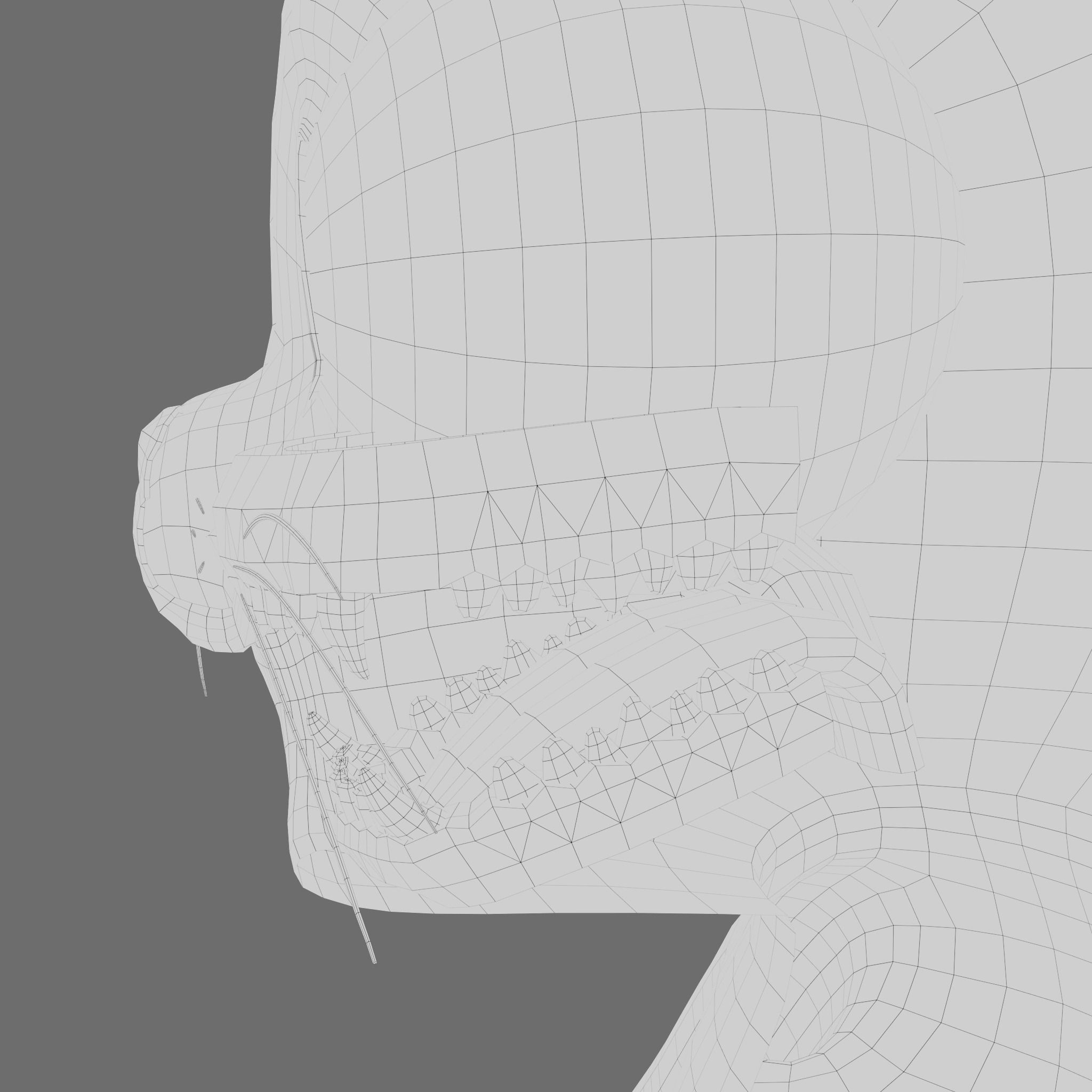 Cat cartoon character modeling textures 3D model_12