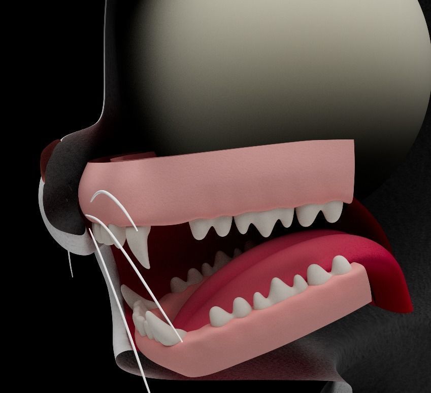 Cat cartoon character modeling textures 3D model_11