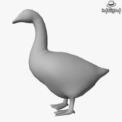 Farm Animals Low-poly 3D model_16