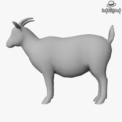 Farm Animals Low-poly 3D model_13