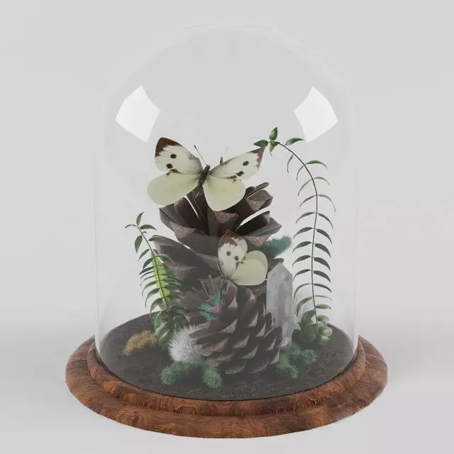 Tabletop Terrarium With Butterflies 3D model