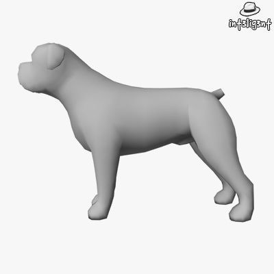 Dogs Collection bull terrier Low-poly 3D model_1