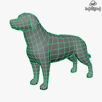 Dogs Collection bull terrier Low-poly 3D model_38
